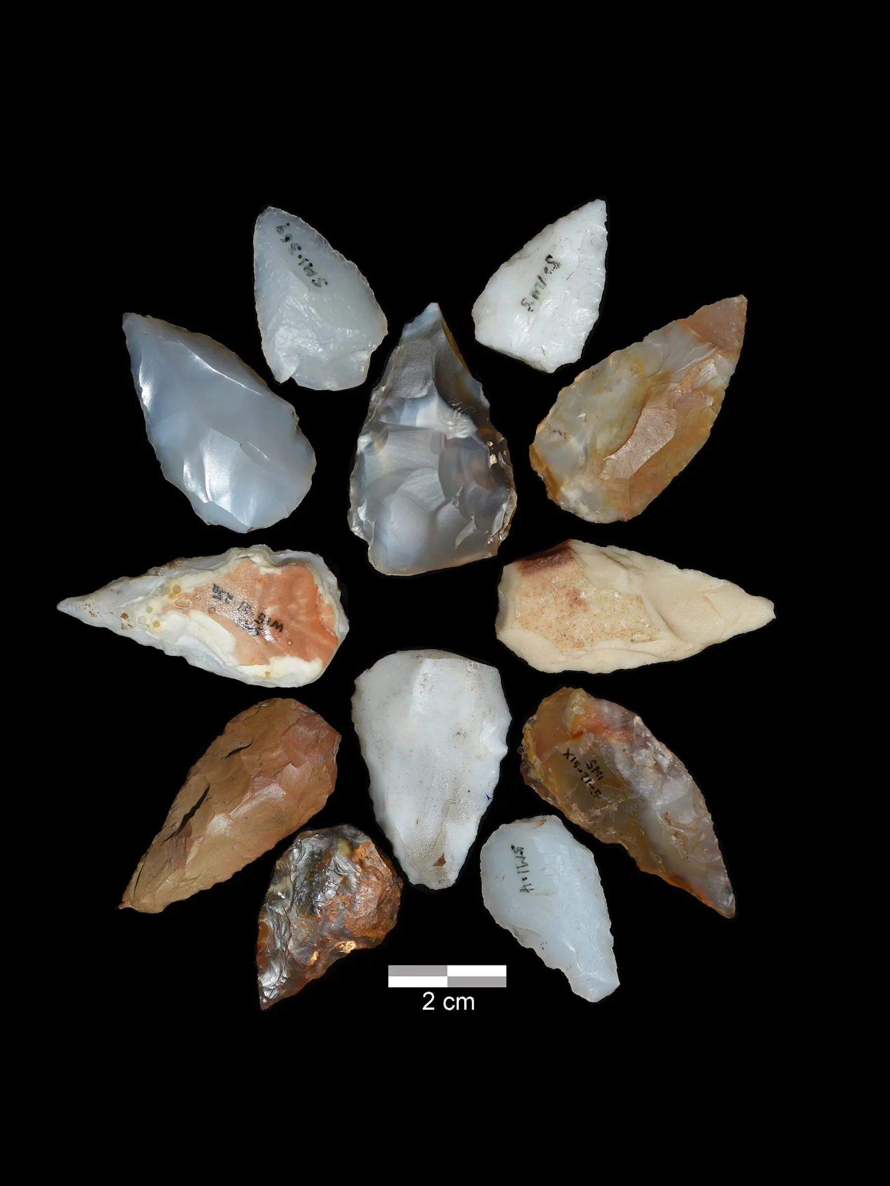 Hroty nalezené v Shinfa-Metema 1 | Zdroj: https://www.nytimes.com/2024/03/20/science/early-humans-arrowheads-volcano.html#:~:text=An archaeological site in Ethiopia,of a major volcanic eruption.